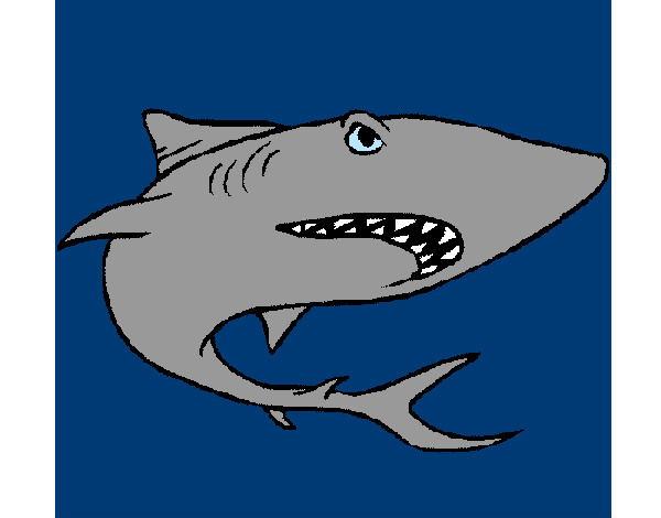 Dibujo Tiburón pintado por sufrit