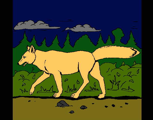 Dibujo Coyote pintado por Katherynss