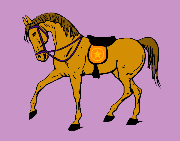 un caballo antes de correr