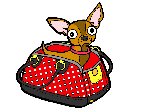 Dibujo Chihuahua de viaje pintado por KunKai
