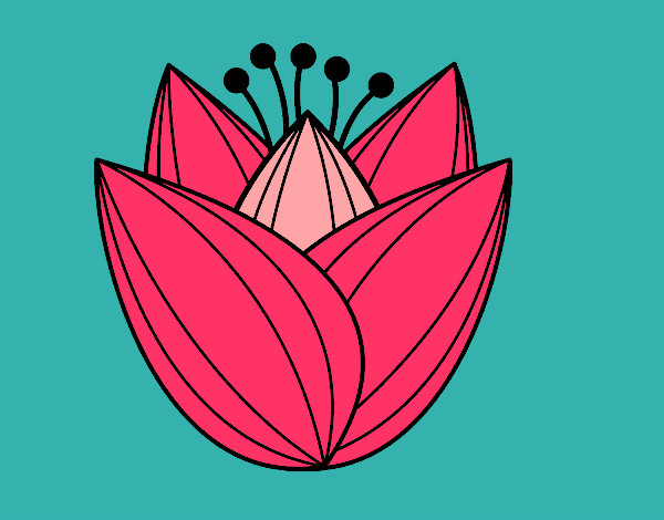 Dibujo Flor de tulipán pintado por juchi