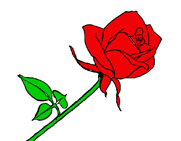 Dibujo Rosa pintado por -345
