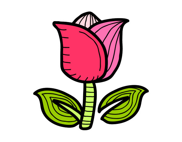 Dibujo Tulipán pintado por juchi