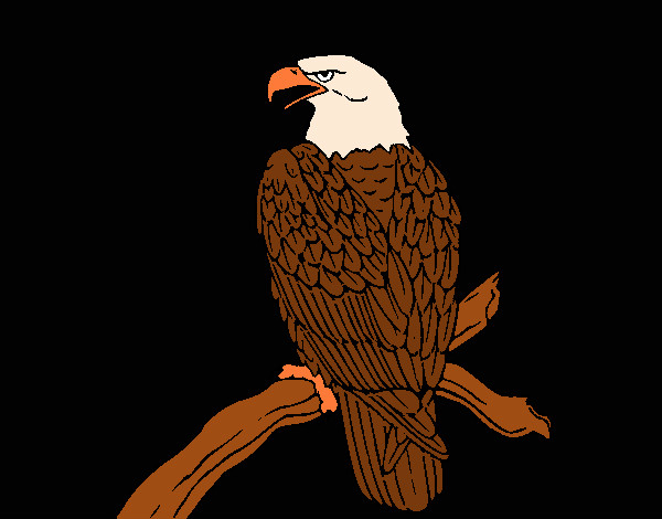 Dibujo Águila en una rama pintado por Katherynss
