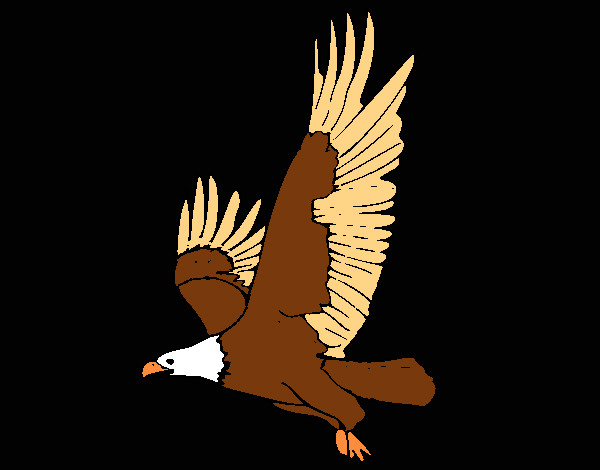 Dibujo Águila volando pintado por Katherynss