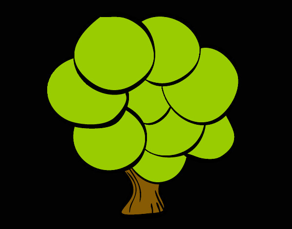 Árbol con hojas redondas