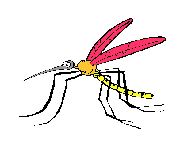 Dibujo Mosquito 2 pintado por aleroyce01