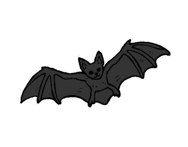 Dibujo Murciélago volando pintado por natygm24
