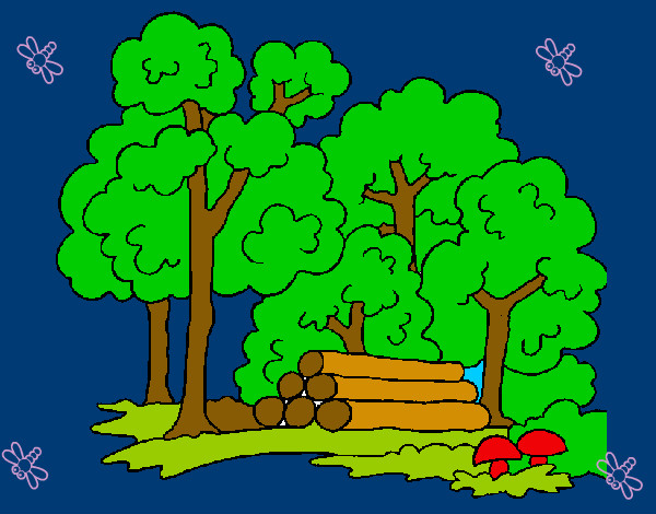 Dibujo Bosque 2 pintado por hanita501
