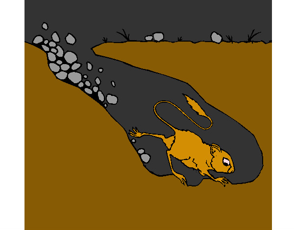 Dibujo Canguro rata pintado por sufrit