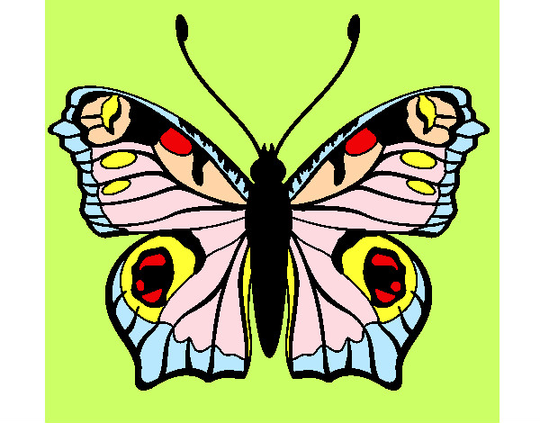 Dibujo Mariposa 20 pintado por sufrit