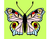 Dibujo Mariposa 20 pintado por sufrit