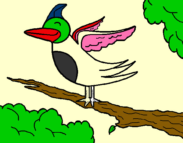 Dibujo Pájaro en arbol pintado por mollito