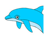 Dibujo Delfín pintado por martinab