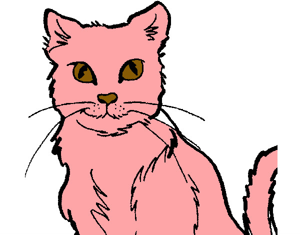 Dibujo Gato pintado por sarrasina