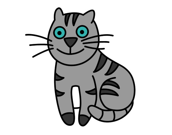 Dibujo Gato simpático pintado por sarrasina