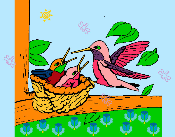 Dibujo Familia colibrí pintado por manas