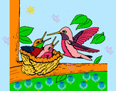 Dibujo Familia colibrí pintado por manas