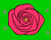Dibujo Flor de rosa pintado por Donner26