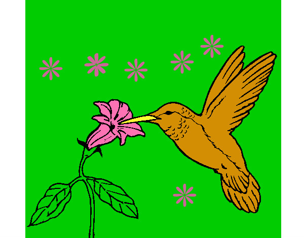 Colibrí y una flor