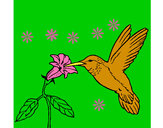 Dibujo Colibrí y una flor pintado por zoe10am