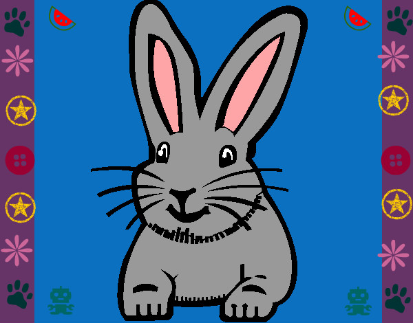 Dibujo Conejo pintado por cangejo435