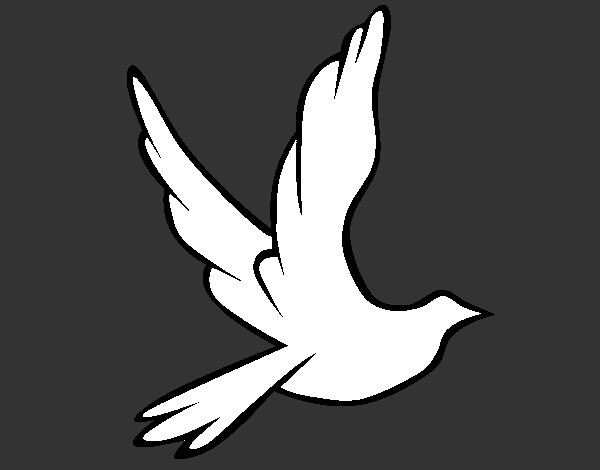 Dibujo Paloma de la paz al vuelo pintado por bgonzalez