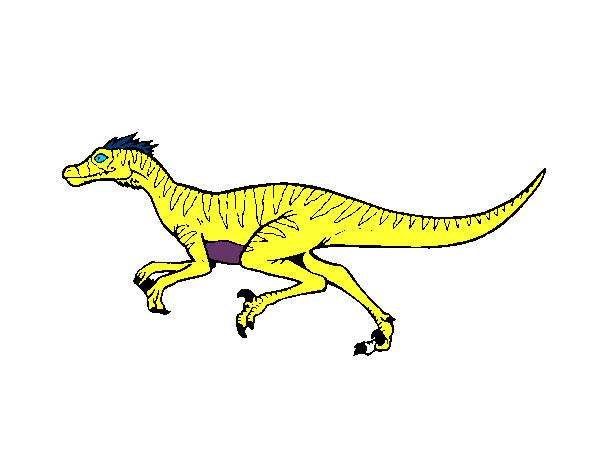 Dibujo Velociraptor pintado por Mateo17