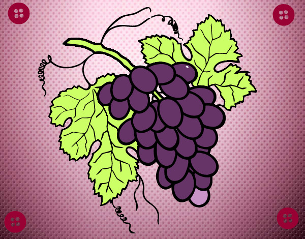 Dibujo Racimo de uvas pintado por thaiz333