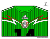 Dibujo Camiseta del mundial de fútbol 2014 de México pintado por bresbiel 