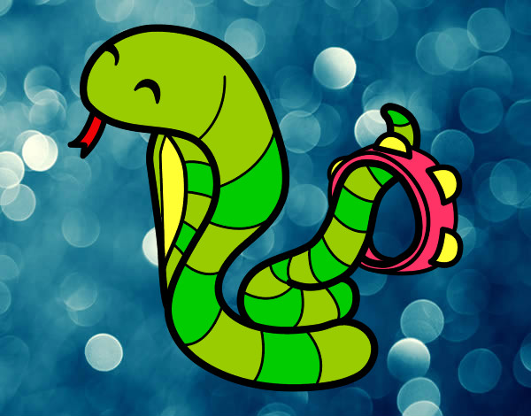 Dibujo Cobra con pandereta pintado por miranda3
