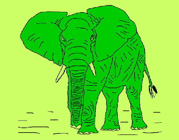 Dibujo Elefante 1 pintado por Maximus_28