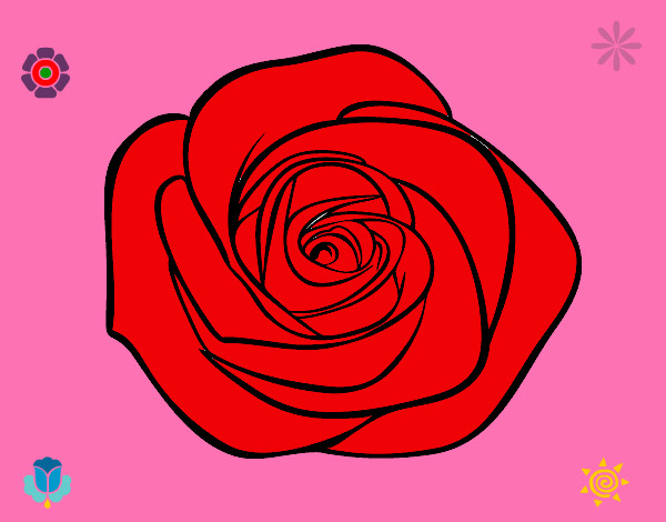 Dibujo Flor de rosa pintado por miranda3