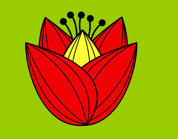 Dibujo Flor de tulipán pintado por manolisol
