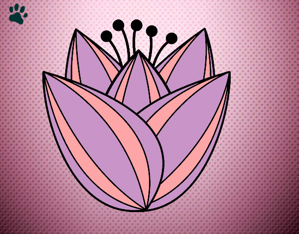 Dibujo Flor de tulipán pintado por martind