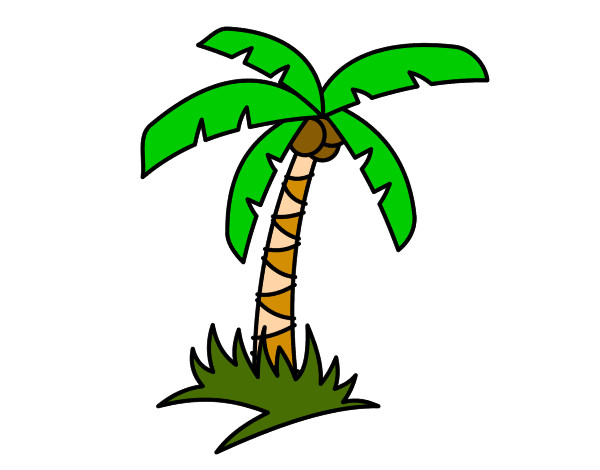 Dibujo Palmera tropical pintado por nikilu