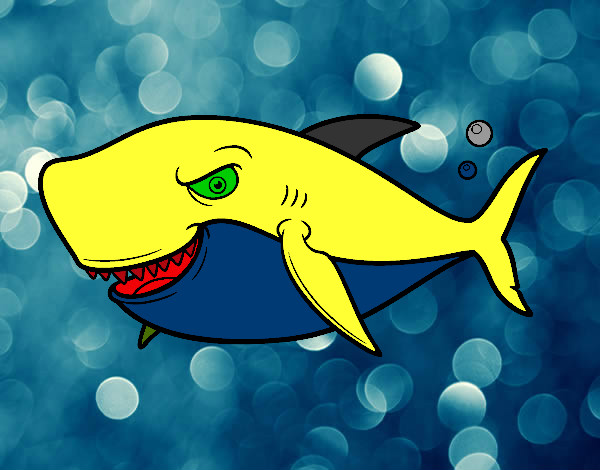 Dibujo Tiburón dentudo pintado por JulitoR