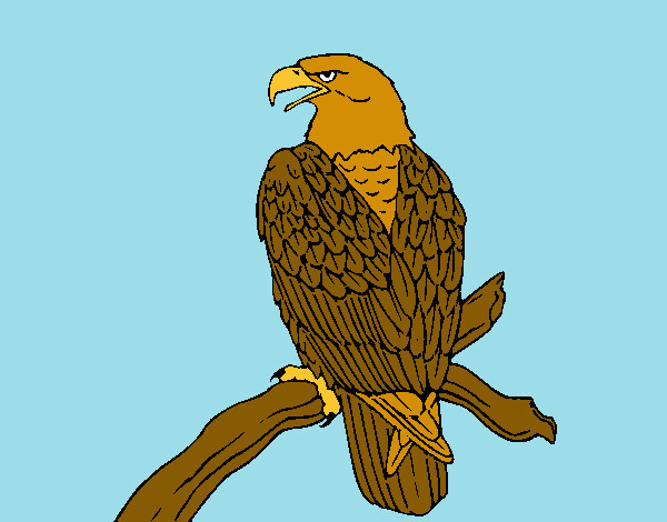 Dibujo Águila en una rama pintado por jgojgjfdj
