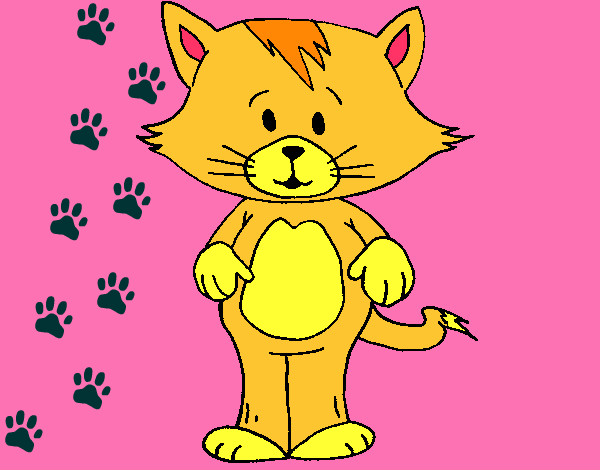 Dibujo Gato con flequillo pintado por MisheruYT