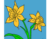 Dibujo Orquídea pintado por malena321