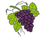 Dibujo Racimo de uvas pintado por BRVP76