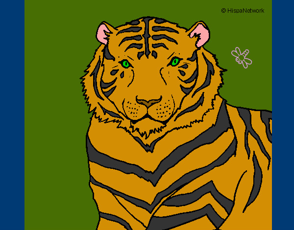 Dibujo Tigre 3 pintado por safat