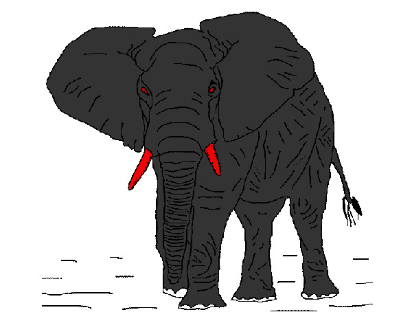 Dibujo Elefante 1 pintado por manuelin