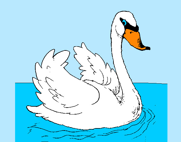 Dibujo Cisne en el agua pintado por mairta 