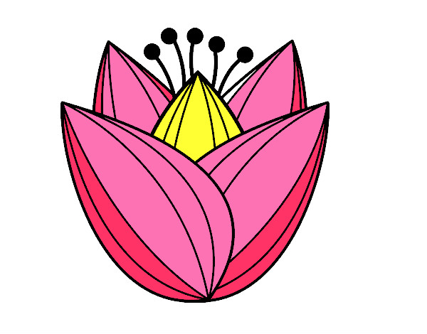 Dibujo Flor de tulipán pintado por vangie