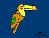 Dibujo Pájaro Tucán pintado por bogdan