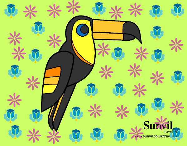 Dibujo Pájaro Tucán pintado por Lovecat
