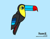 Dibujo Pájaro Tucán pintado por valeria557
