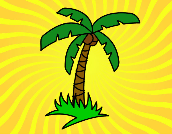 Dibujo Palmera tropical pintado por cameron159