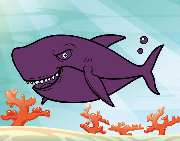 Dibujo Tiburón dentudo pintado por lesliluna